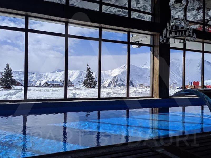 ATRIUM Spa & Swimming Pool (Apart Gudauri)