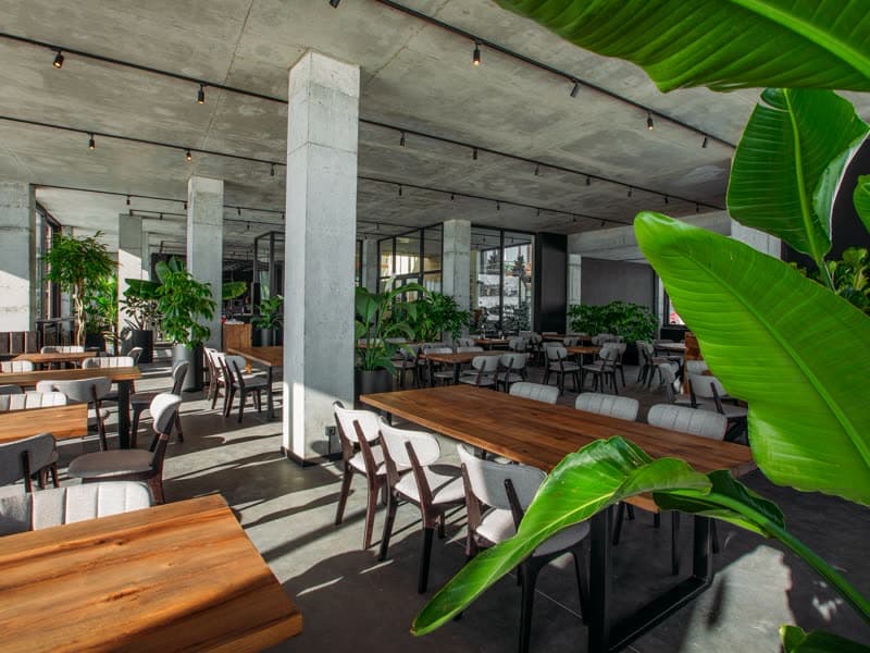Montis (Hotel Carpe Diem)